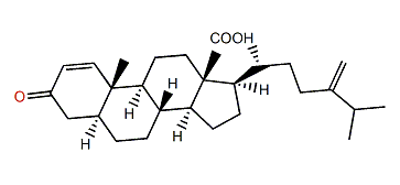 Griffinisterone D